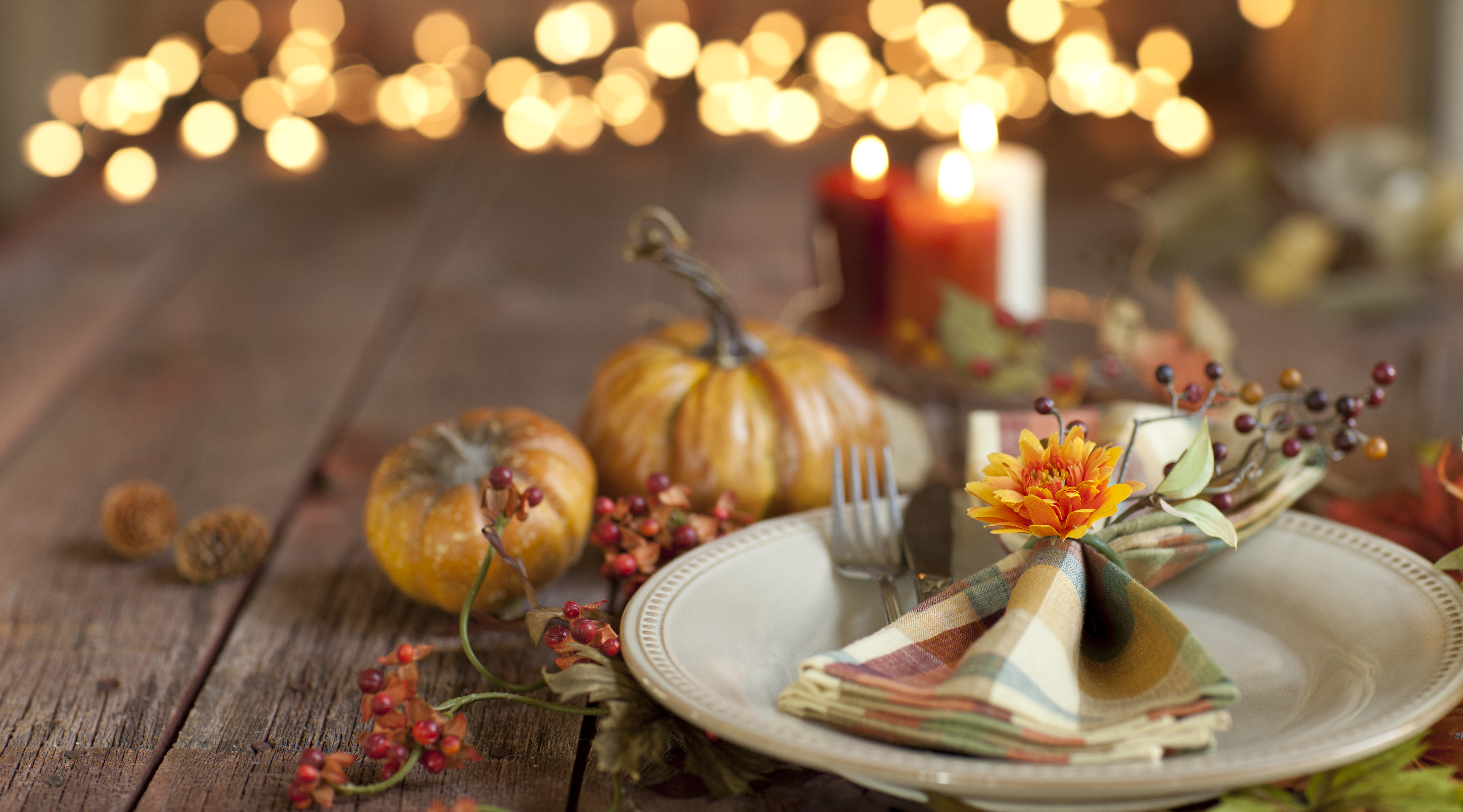 Happy Thanksgiving  French iStock-1035198404
