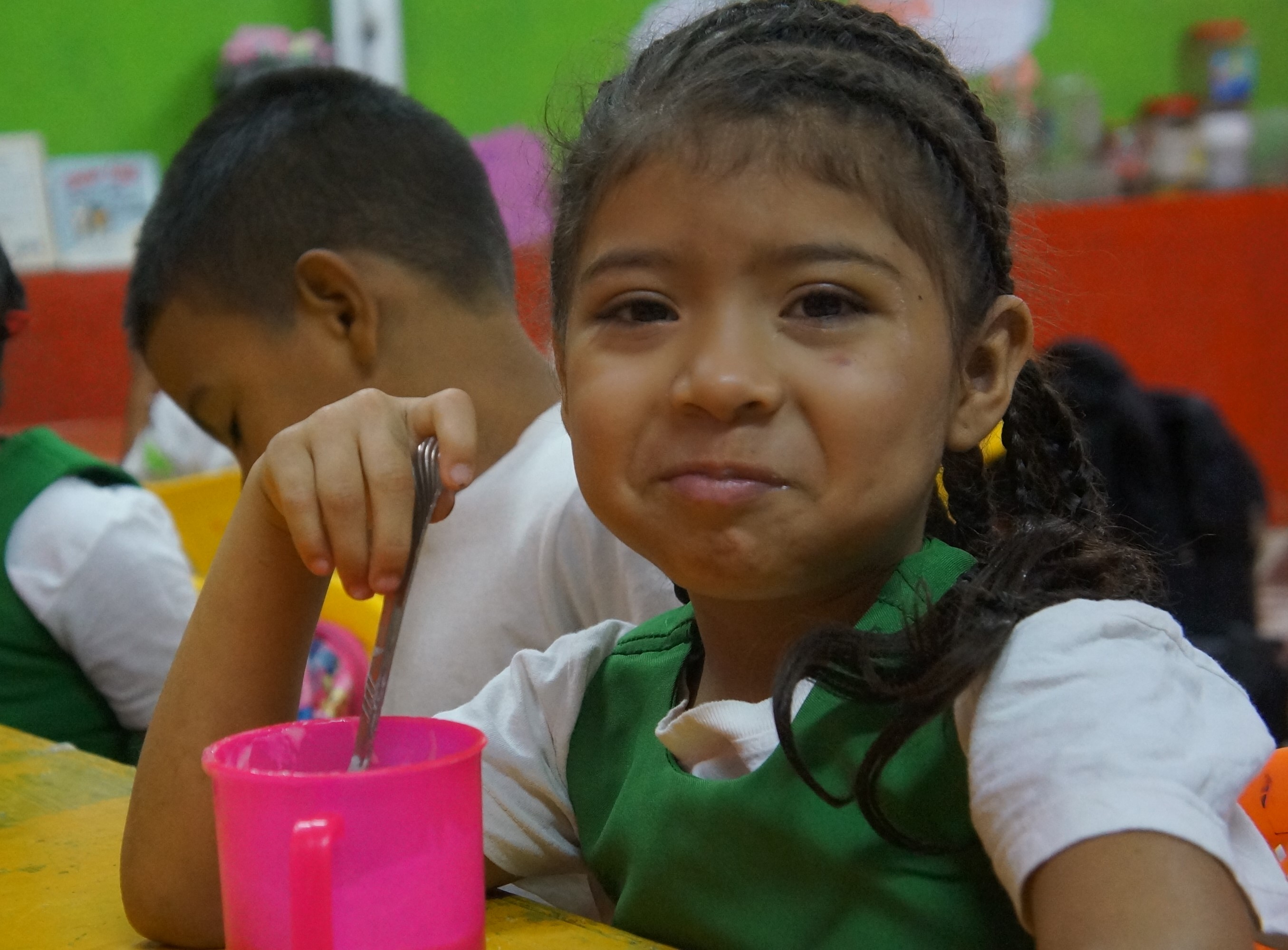 Honduras Nutrition Program