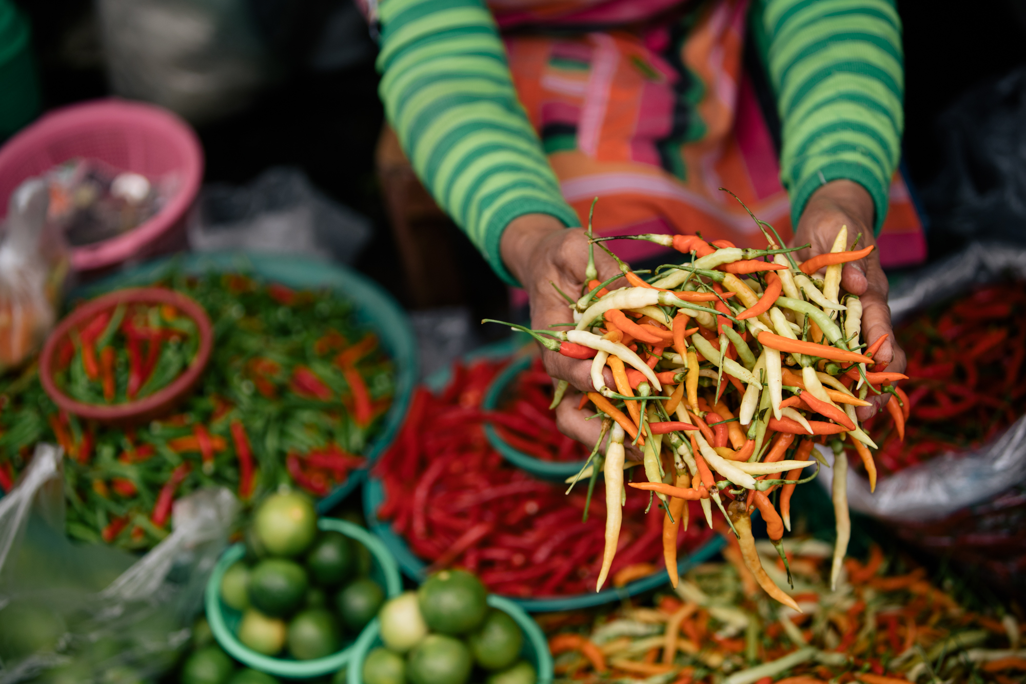 Photo of a lady holding hot peppers by Imagine Thailand.