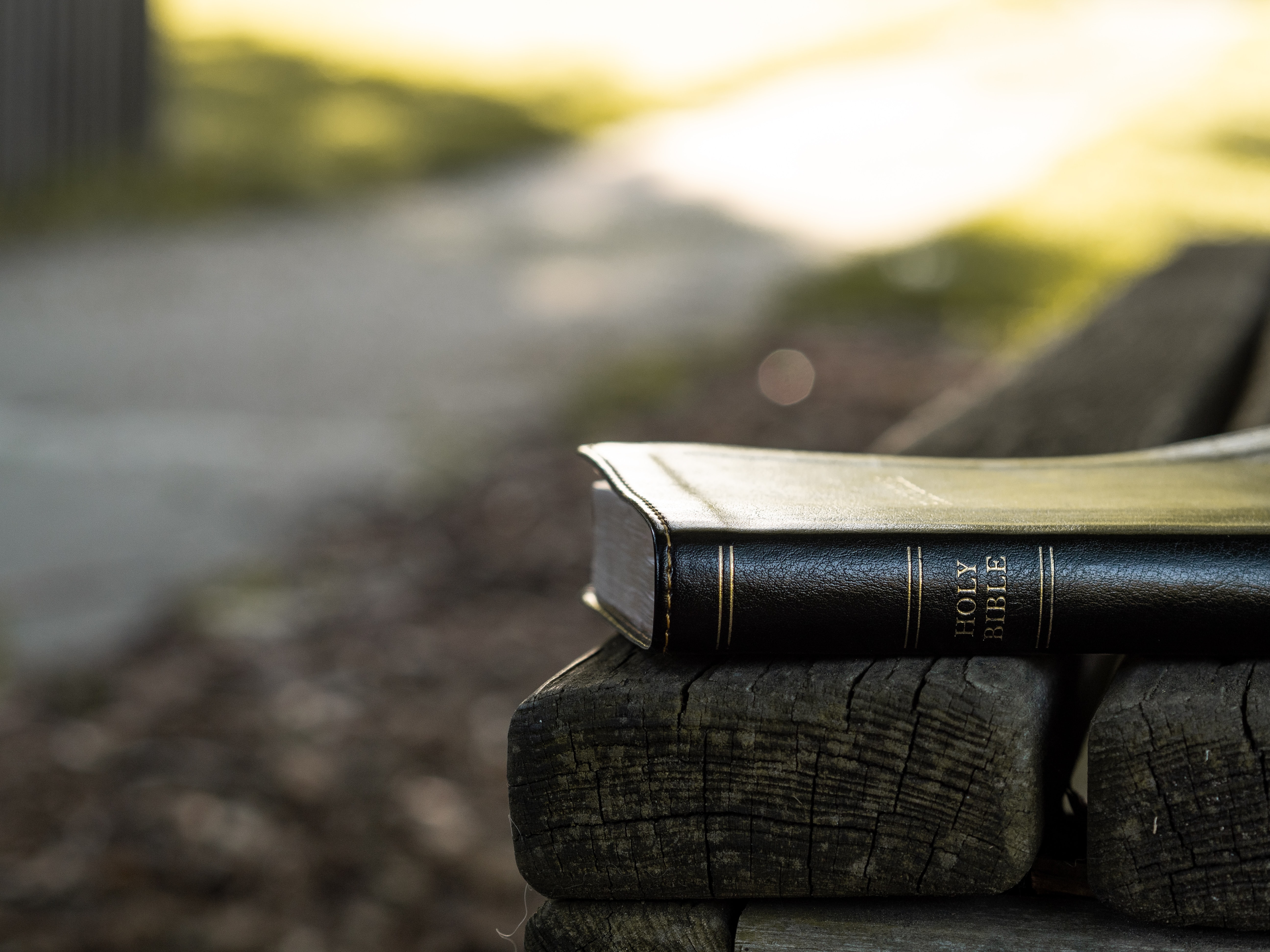 Photo of a Bible sitting on a bench.