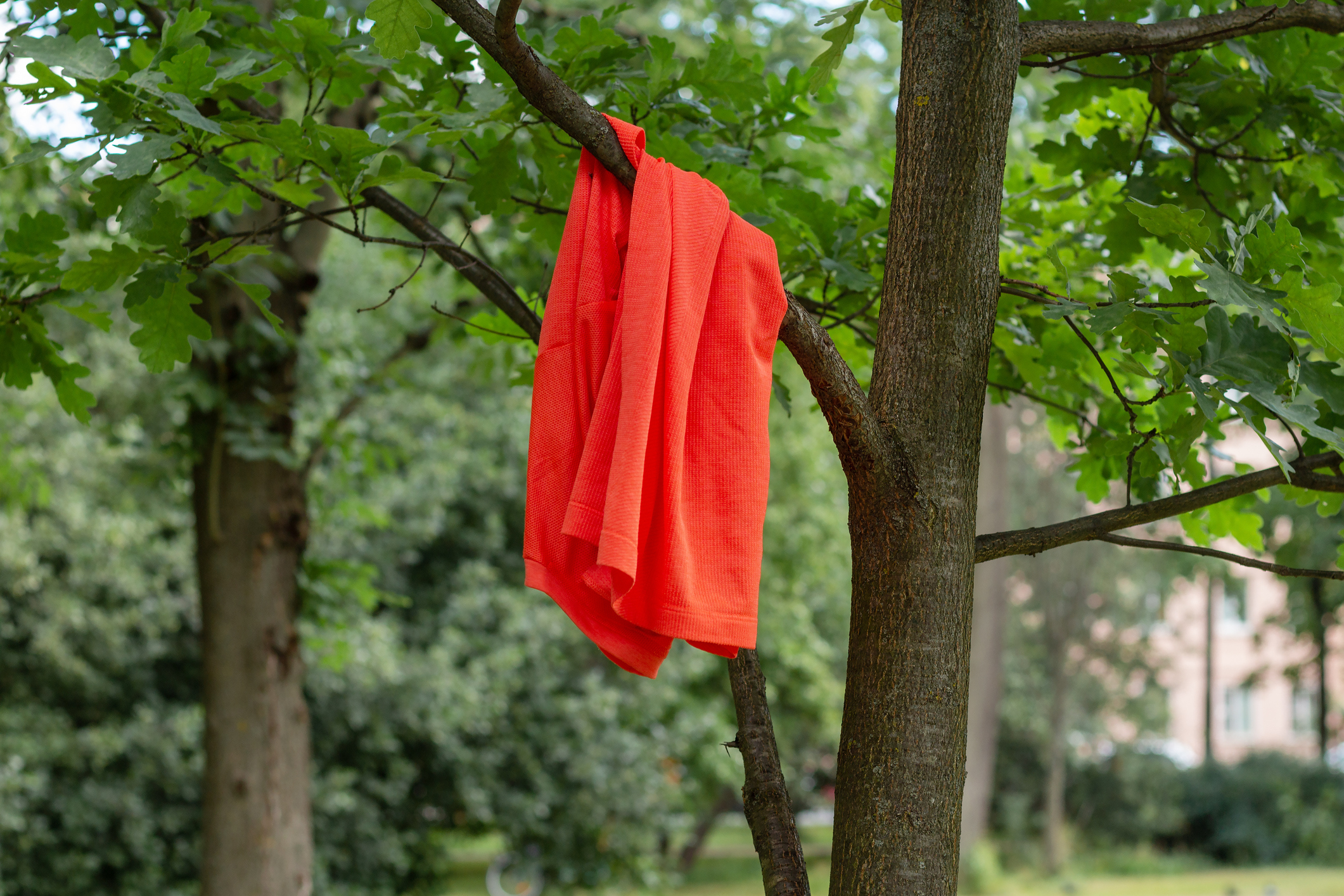 Orange shirt hanging on a tree branch.